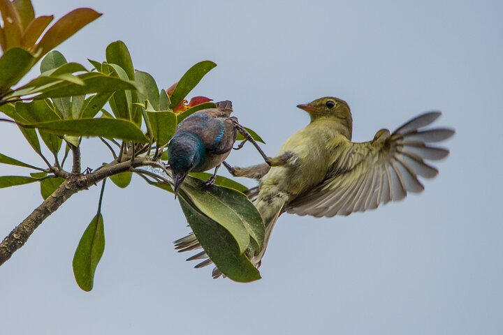 Birdwatching Tour: unlock the wonder, whether beginner or advanced - Photo 1 of 16